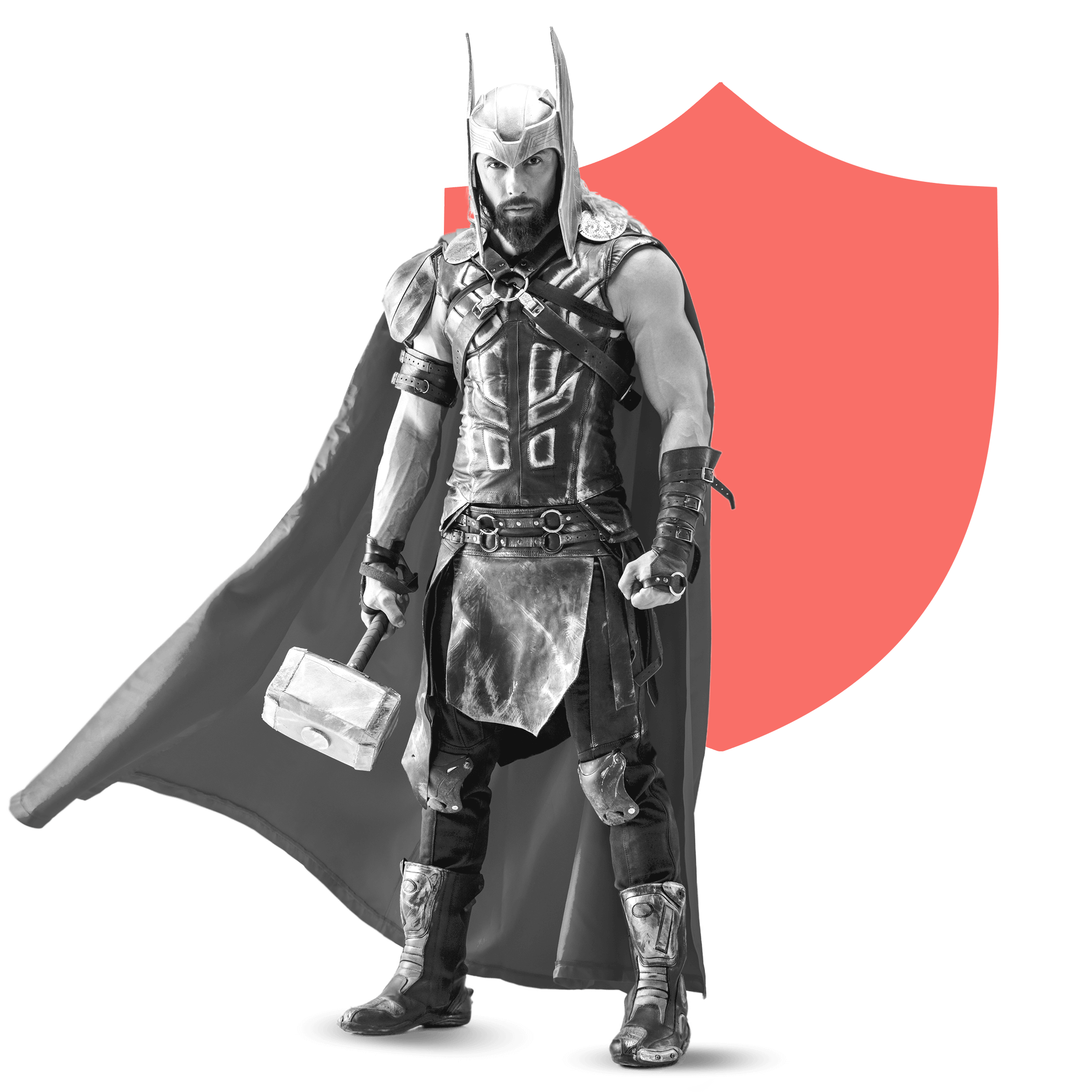 Man in knight costume in front of a shield - Web protection